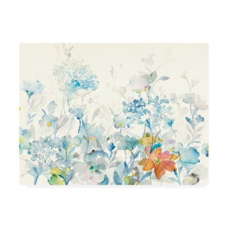 Danhui Nai 'Translucent Florals' Canvas Art,24x32